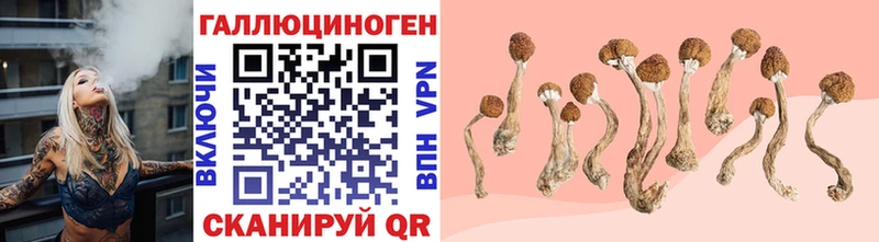 Галлюциногенные грибы мицелий  shop телеграм  Белый 