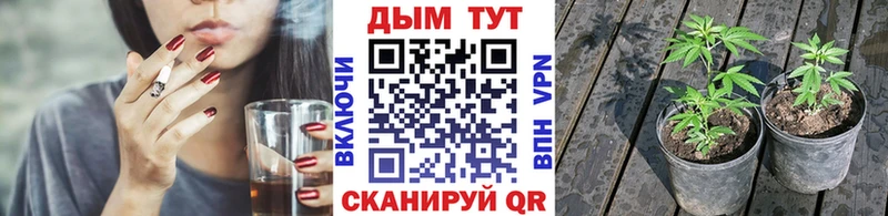 Марихуана White Widow  blacksprut маркетплейс  Белый 
